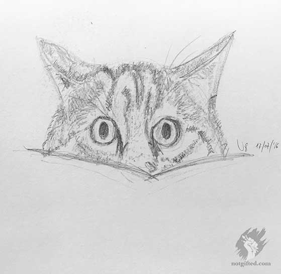 Cat & book sketch