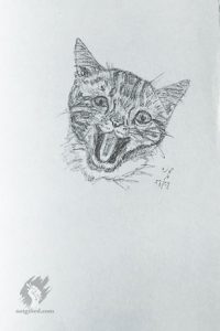 Just a happy cat drawing