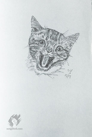 Just a happy cat drawing