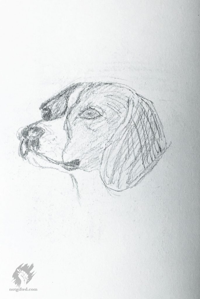 Just a dog - sketch