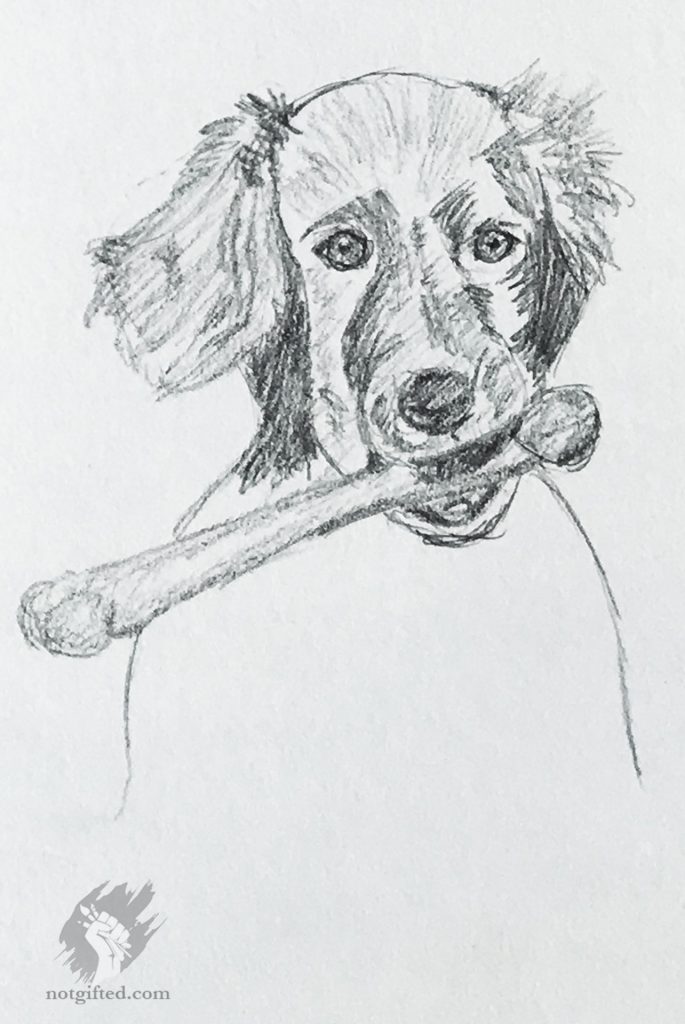 Dog and bone drawing