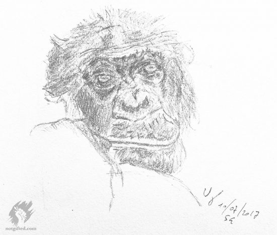 Monkey drawing