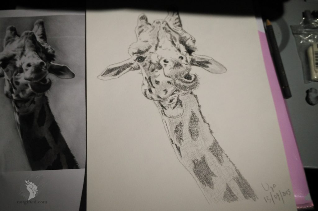 Giraffe drawing