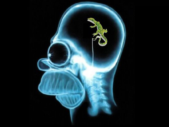 Homer's lizard brain