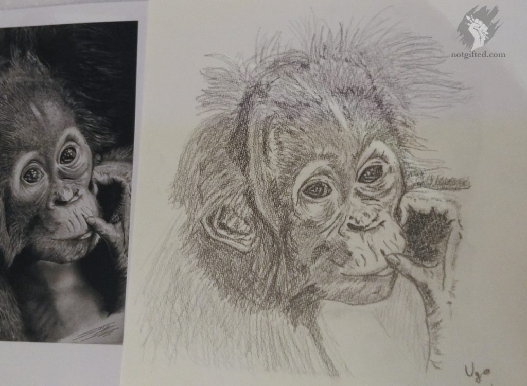 Monkey drawing