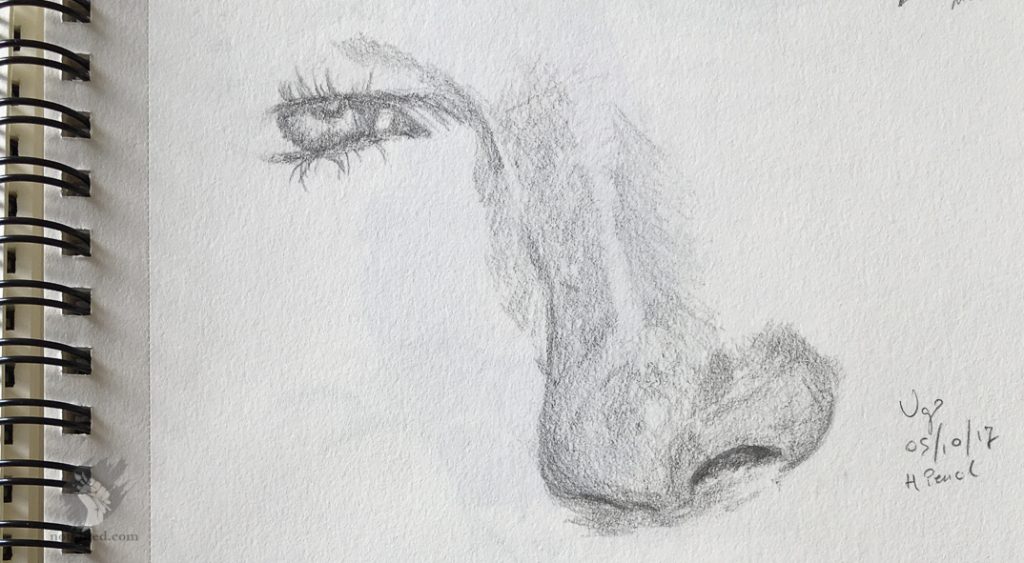 Nose study drawing 