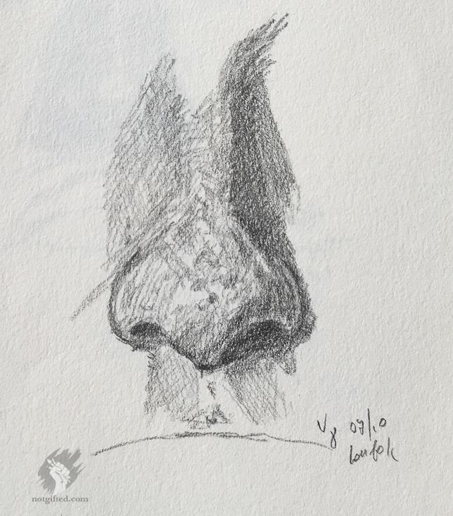 Nose study drawing - 2