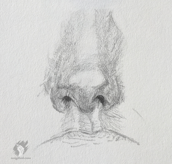 nose study drawing - 5